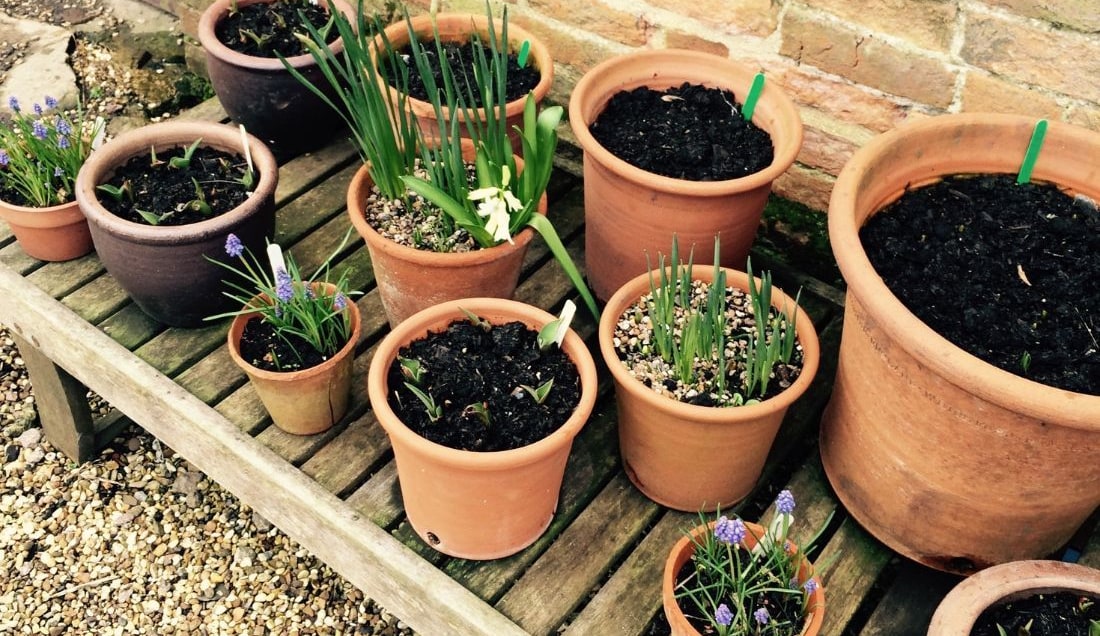 See the Walled Gardens at Kelmarsh Hall.