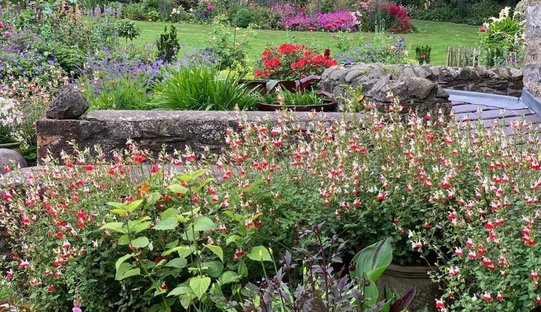 Visit Rosie Maye’s award-winning garden.
