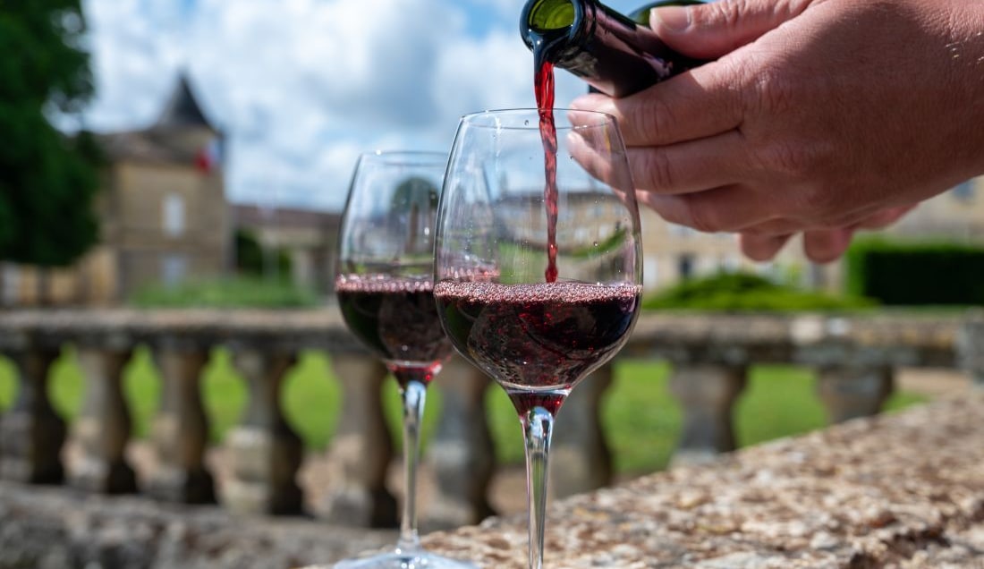 Try the famous Bordeaux Wine!