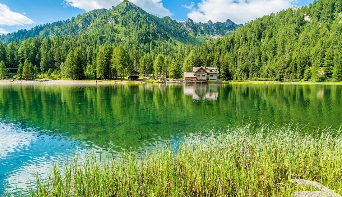 Visit Lake Nambino, surrounded by alpine forests.