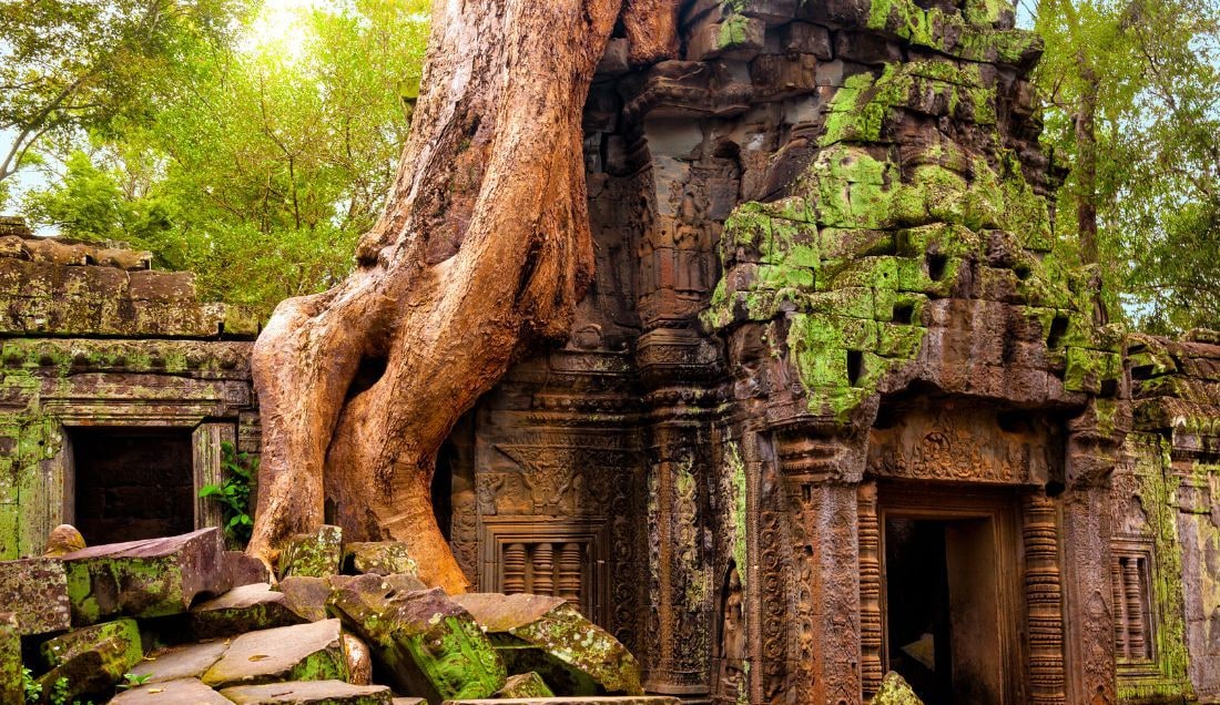 Marvel at the ancient ruins of Ta Prohm.