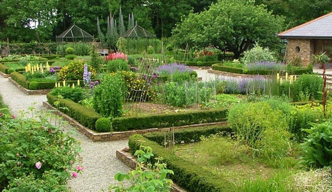 Explore Inish Beg estate. 