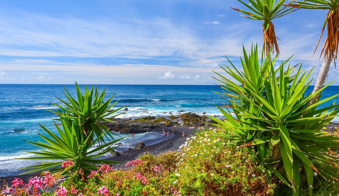 Relax in Puerto de la Cruz.