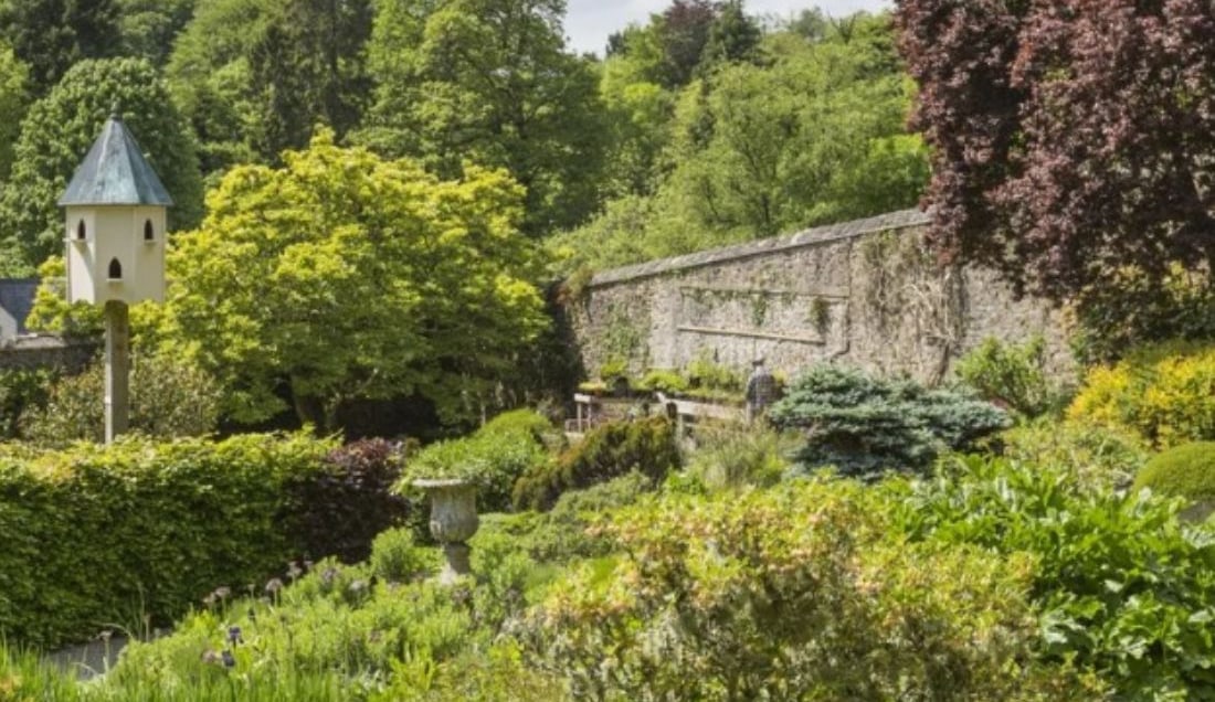 Discover the National Trust Colby Woodland Garden.