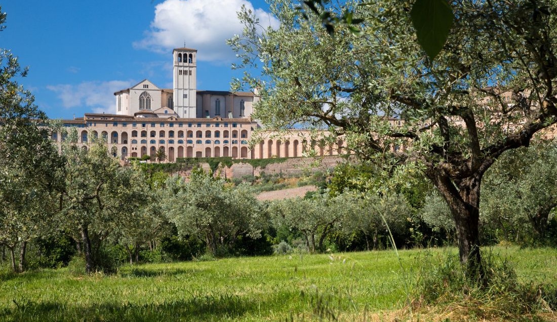 Visit the town of Assisi.