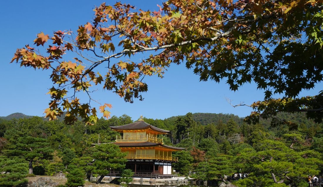 Visit the Kinkaku-ji Golden Pavilion in Kyoto.