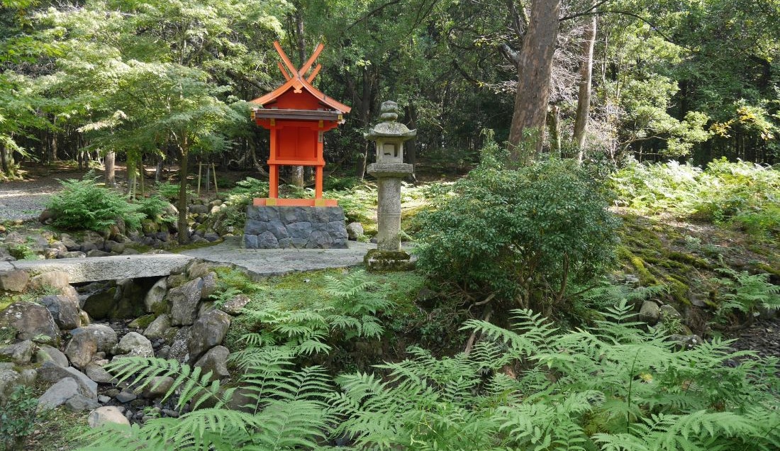 Enjoy a guided tour of Nara Park.