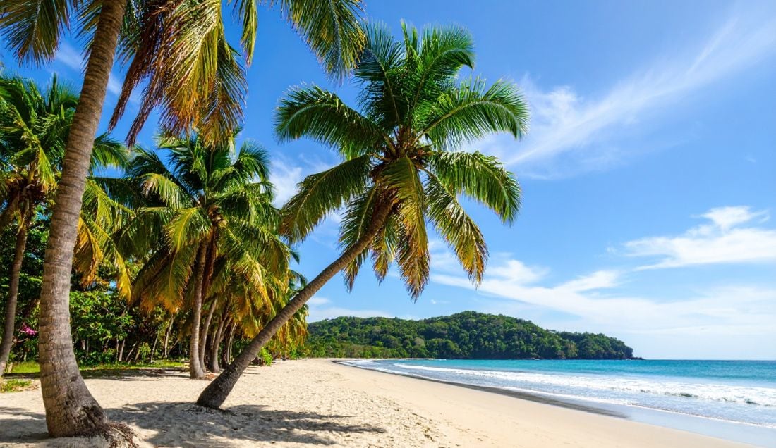 Relax on the beautiful beaches of Tamarindo.