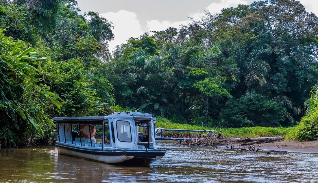 Take a boat tour through the canals of Tortuguero National Park.