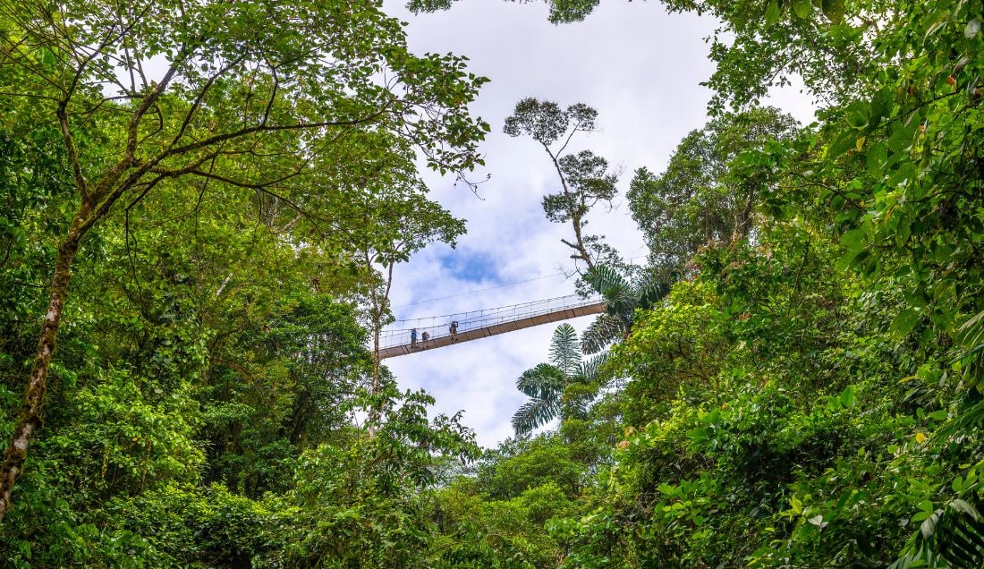 Cross Mistico's iconic hanging bridges.
