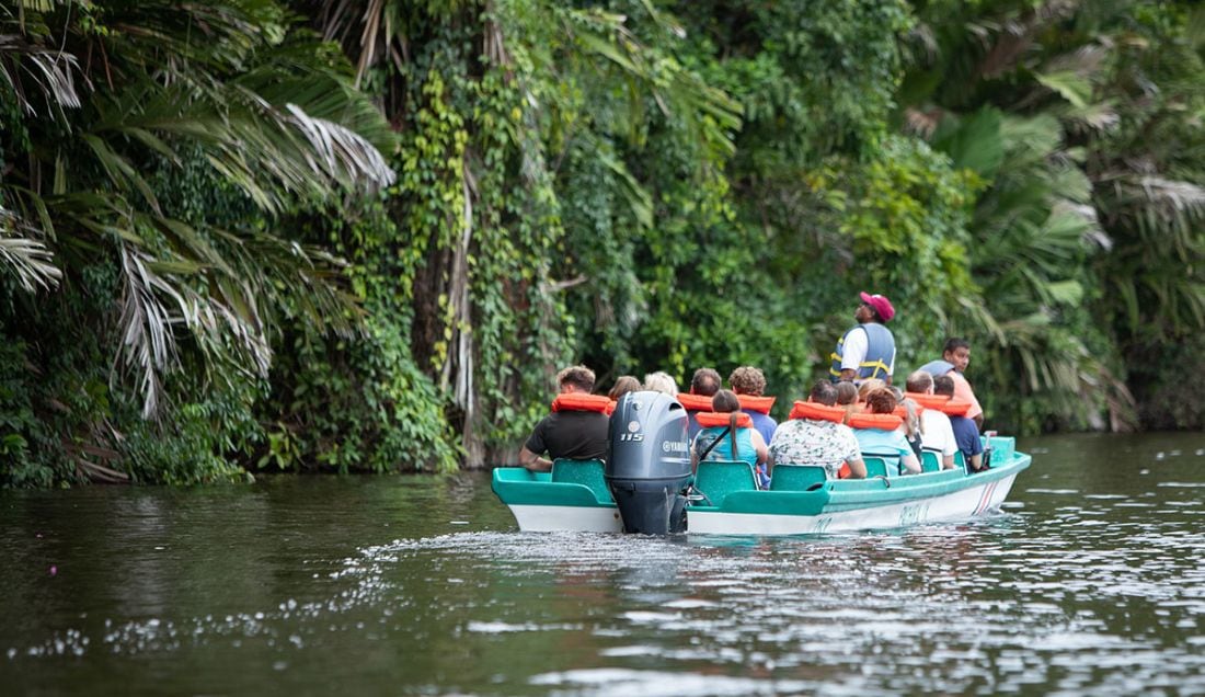 Enjoy a boat trip in Tortuguero national park. 