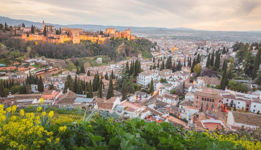 Take a sightseeing tour of Granada.