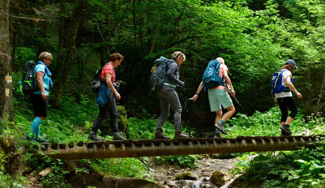 Explore the canyons of Transylvania.