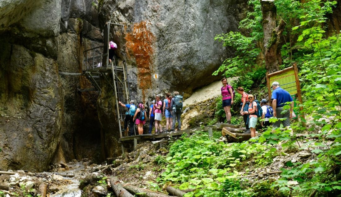 Climb up the Seven Ladders Canyon.