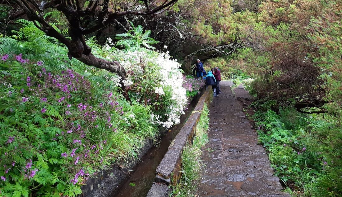Follow the levada trail along the Vereda do Fanal.