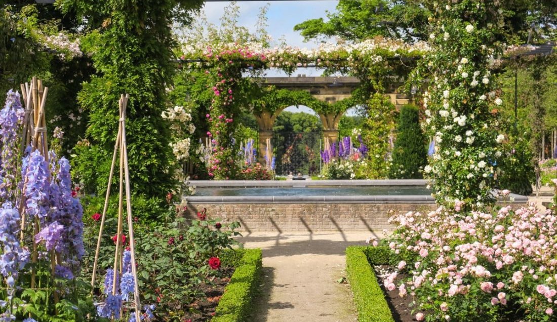 The Rose Garden at The Alnwick Garden.