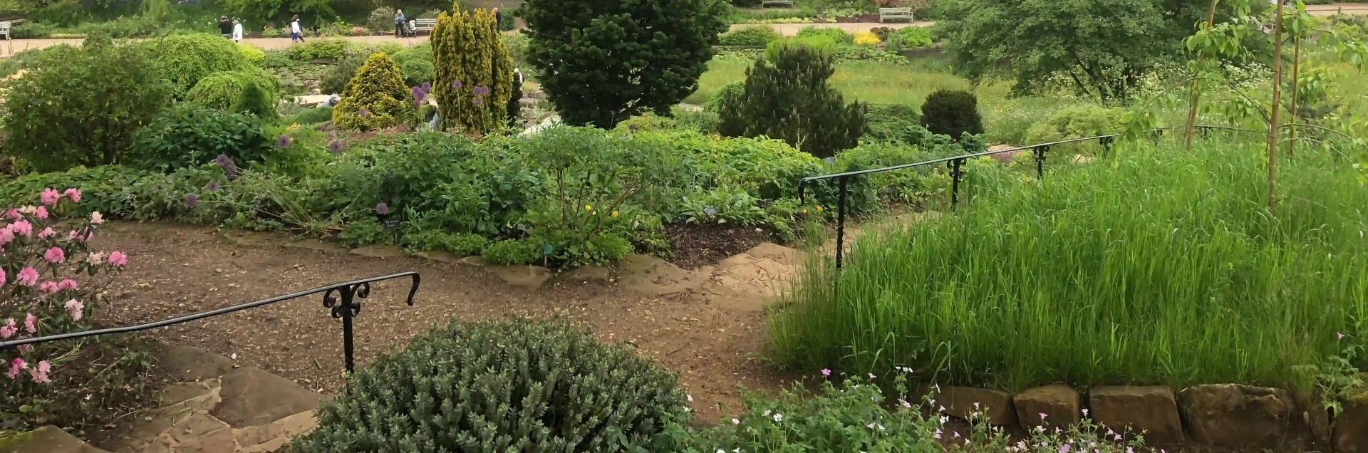 Explore the beautiful gardens at RHS Wisley.