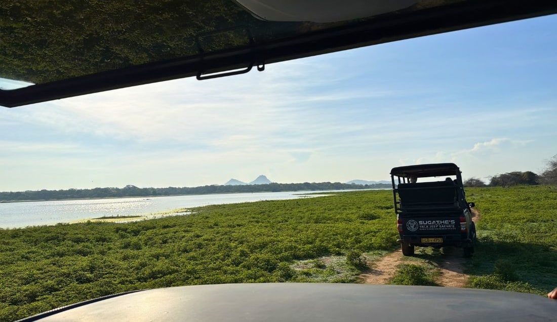 Enjoy a safari in Yala National Park. 