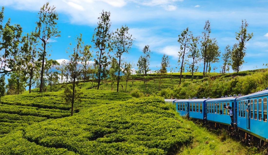 Experience the scenic train through Sri Lanka’s tea plantations.